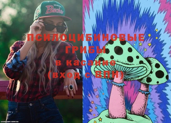 ешки Балахна