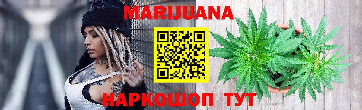 Бошки Шишки планчик Коммунар